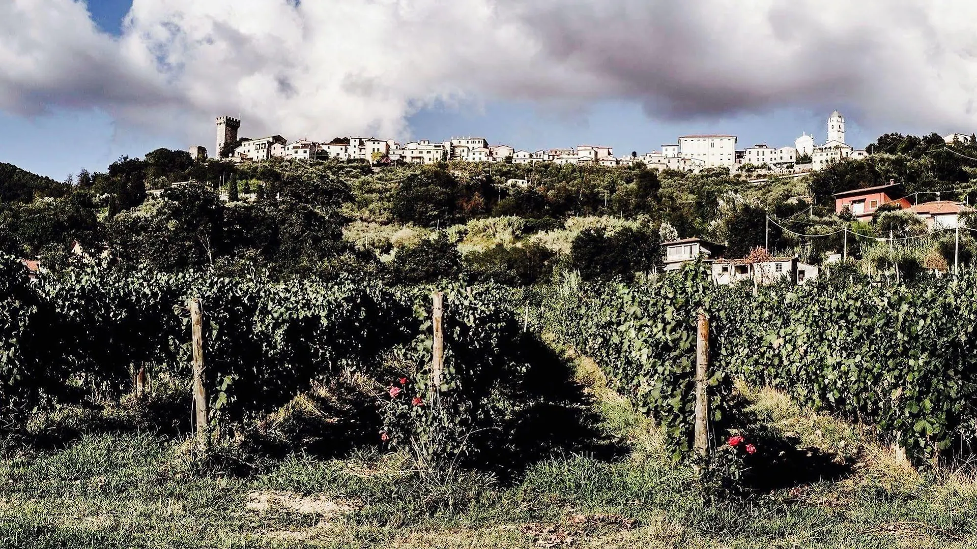 La Valle Guest House Castelnuovo Magra