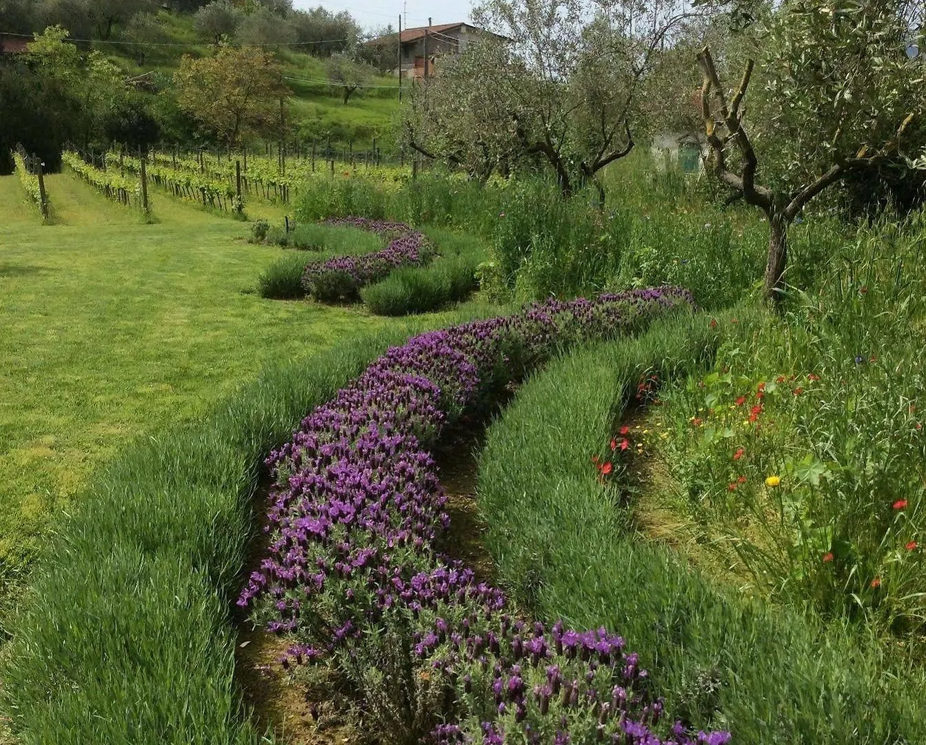 La Valle Guest House Castelnuovo Magra